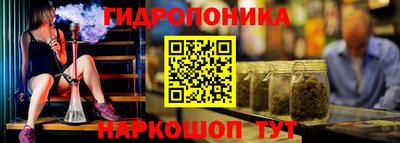 прущие крисы Будённовск