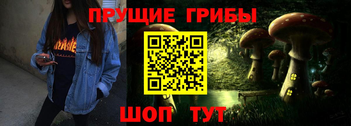 Галлюциногенные грибы ЛСД  Галлюциногенные грибы GOLDEN TEACHER  Тверь  Вход с VPN 